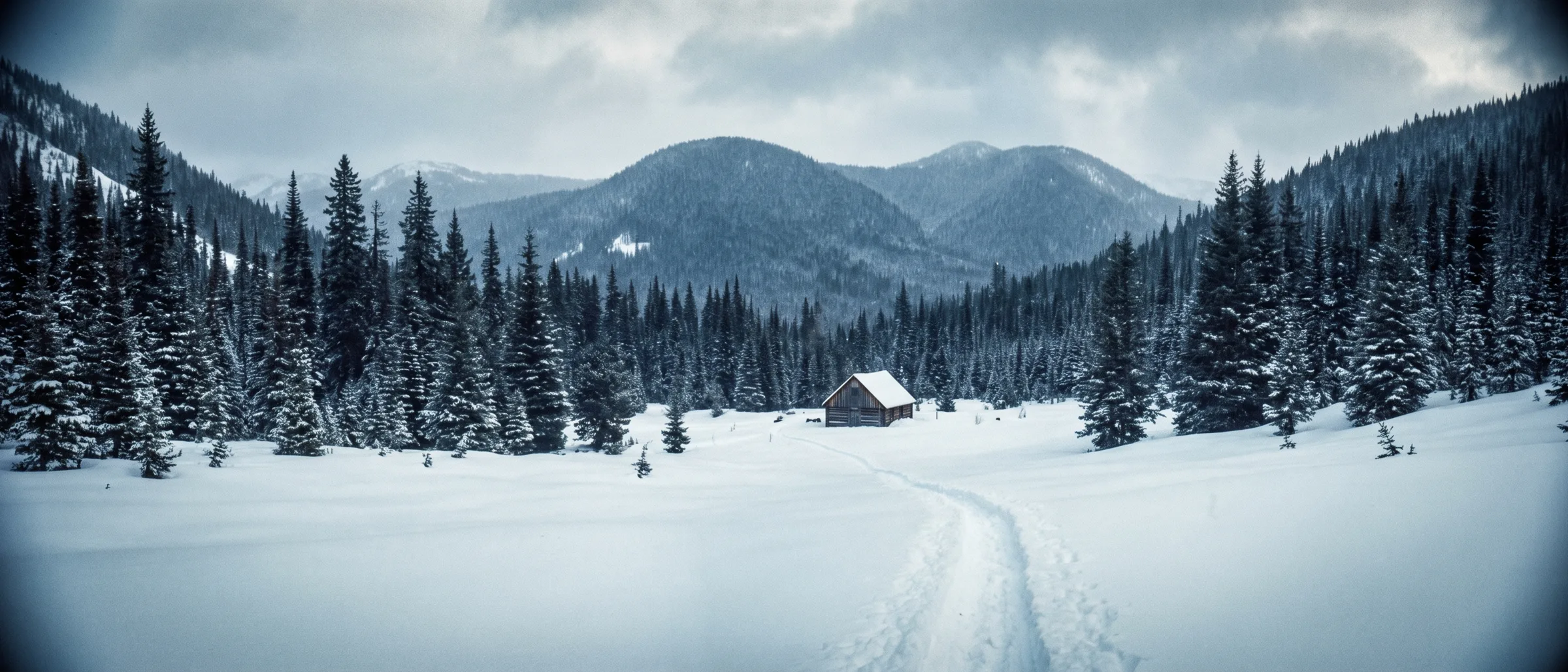A snowbound valley of fir and spruce in the Selkirks, one small timber cabin on the valley floor and a single line of snowcat tracks crossing the snow.